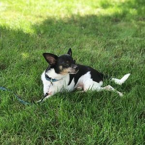 Meet your Posher, Amanda